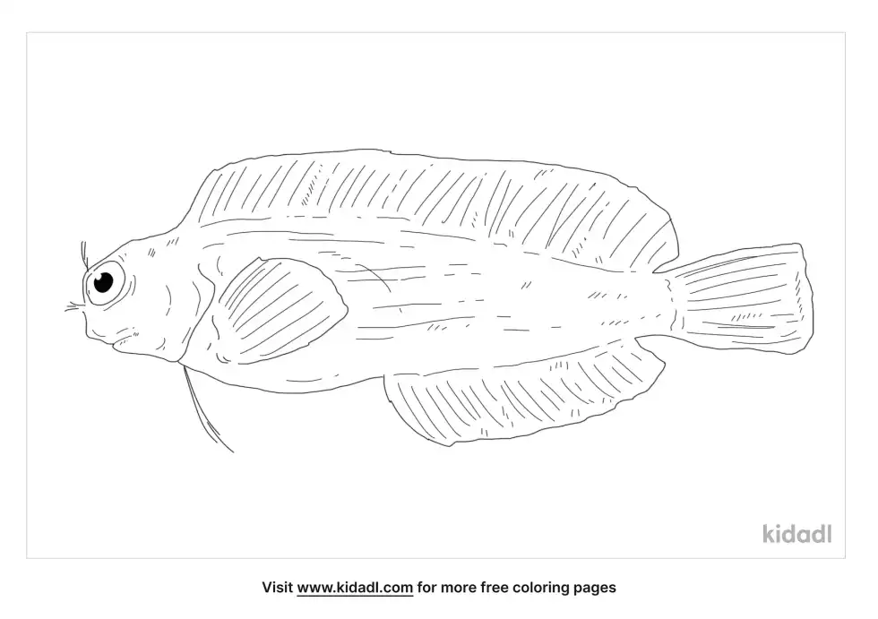 Starry Blenny Coloring Page