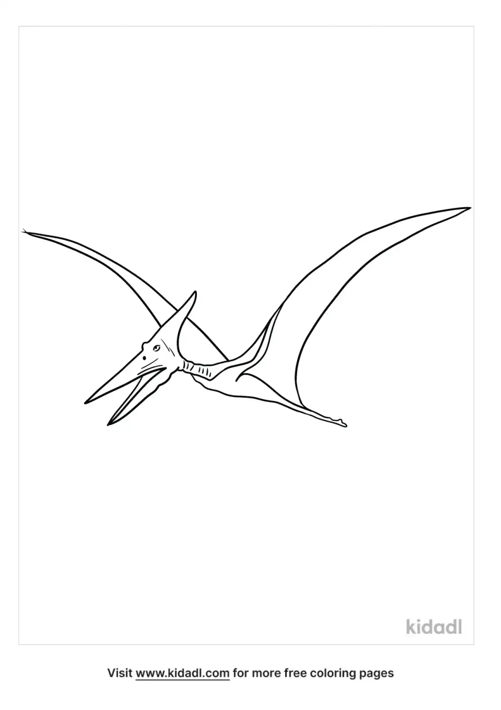 Realistic Pterodactyl Coloring Page