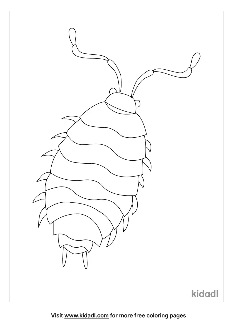 Lice Coloring Page