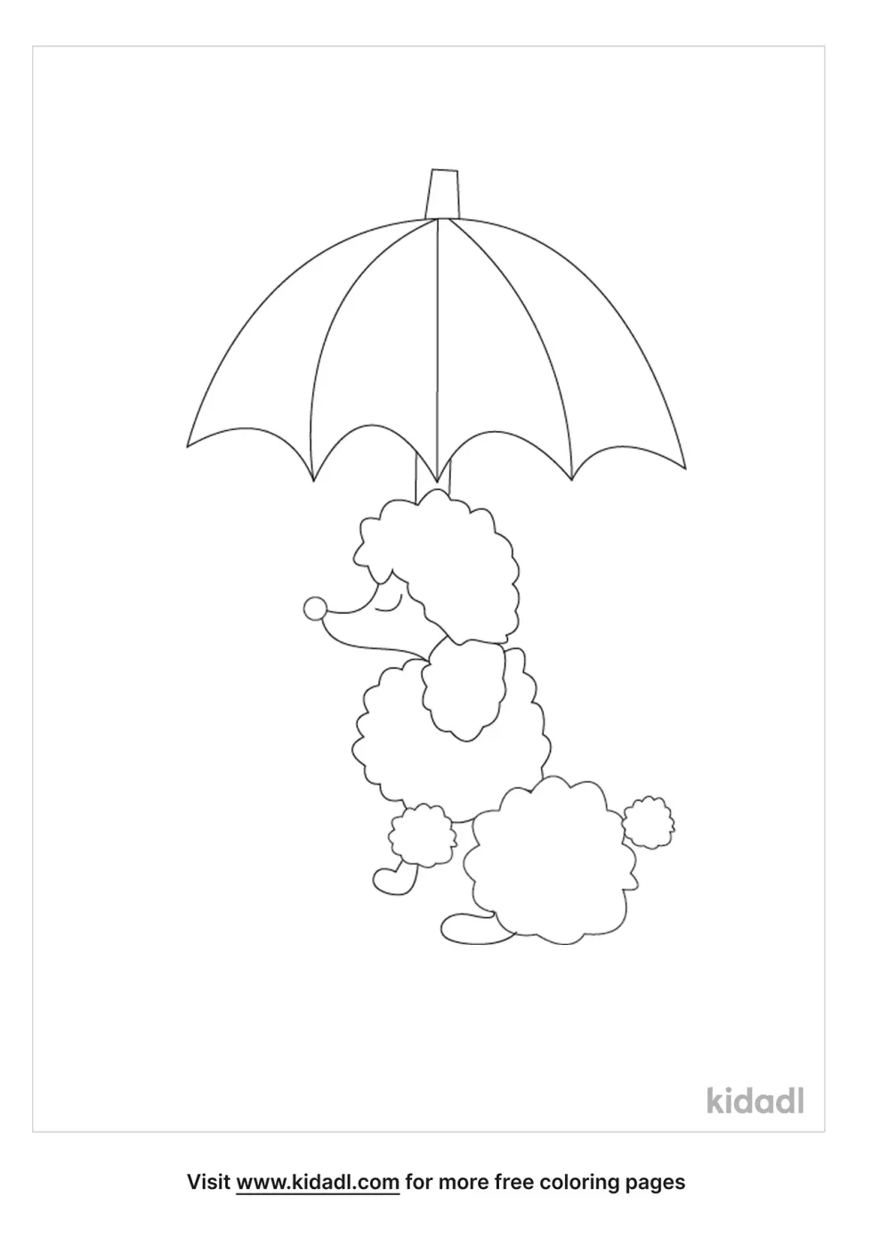 French Poodle With Umbrella Coloring Page