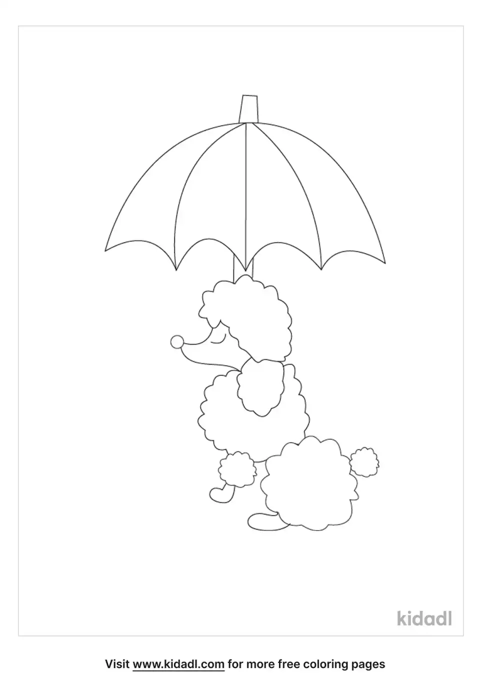 French Poodle With Umbrella Coloring Page