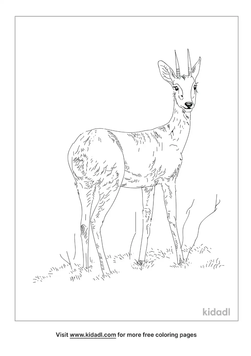 Oribi Coloring Page