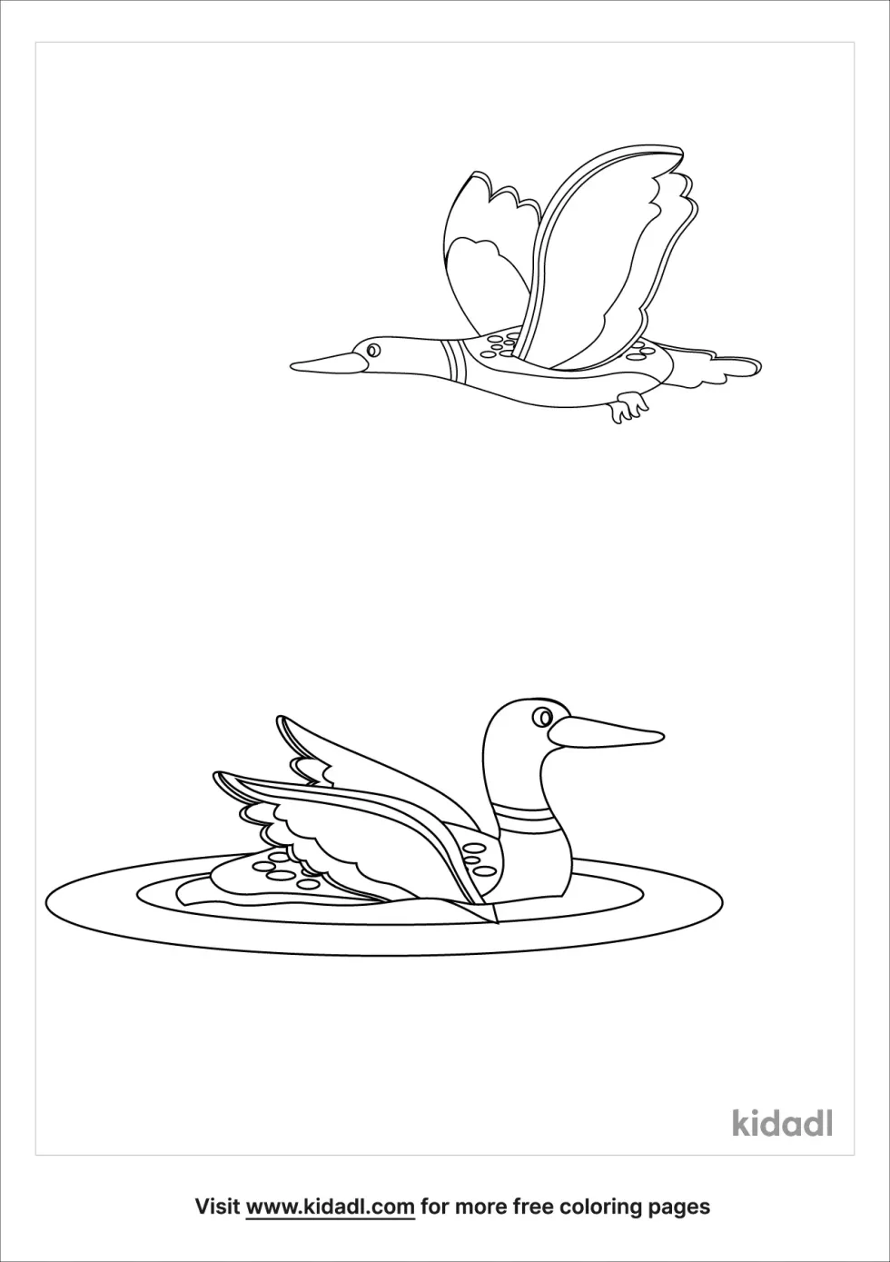 Loon Coloring Page | Kidadl