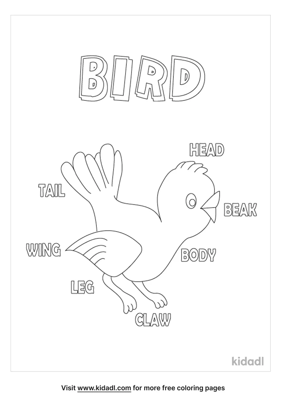 Parts The Bird Coloring Page