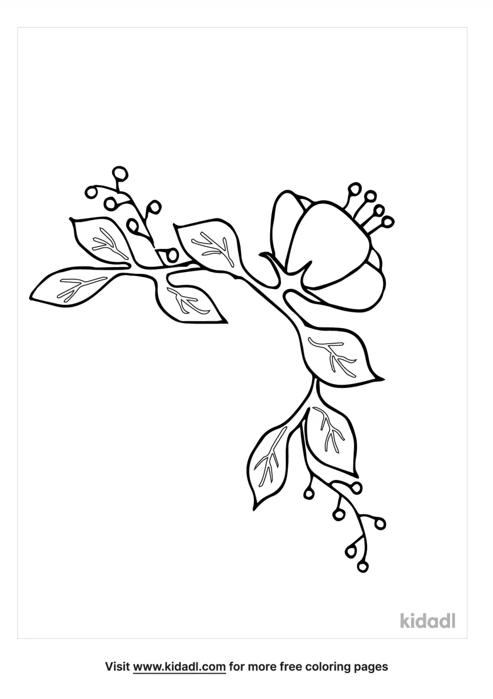 Vine With Flower Coloring Page