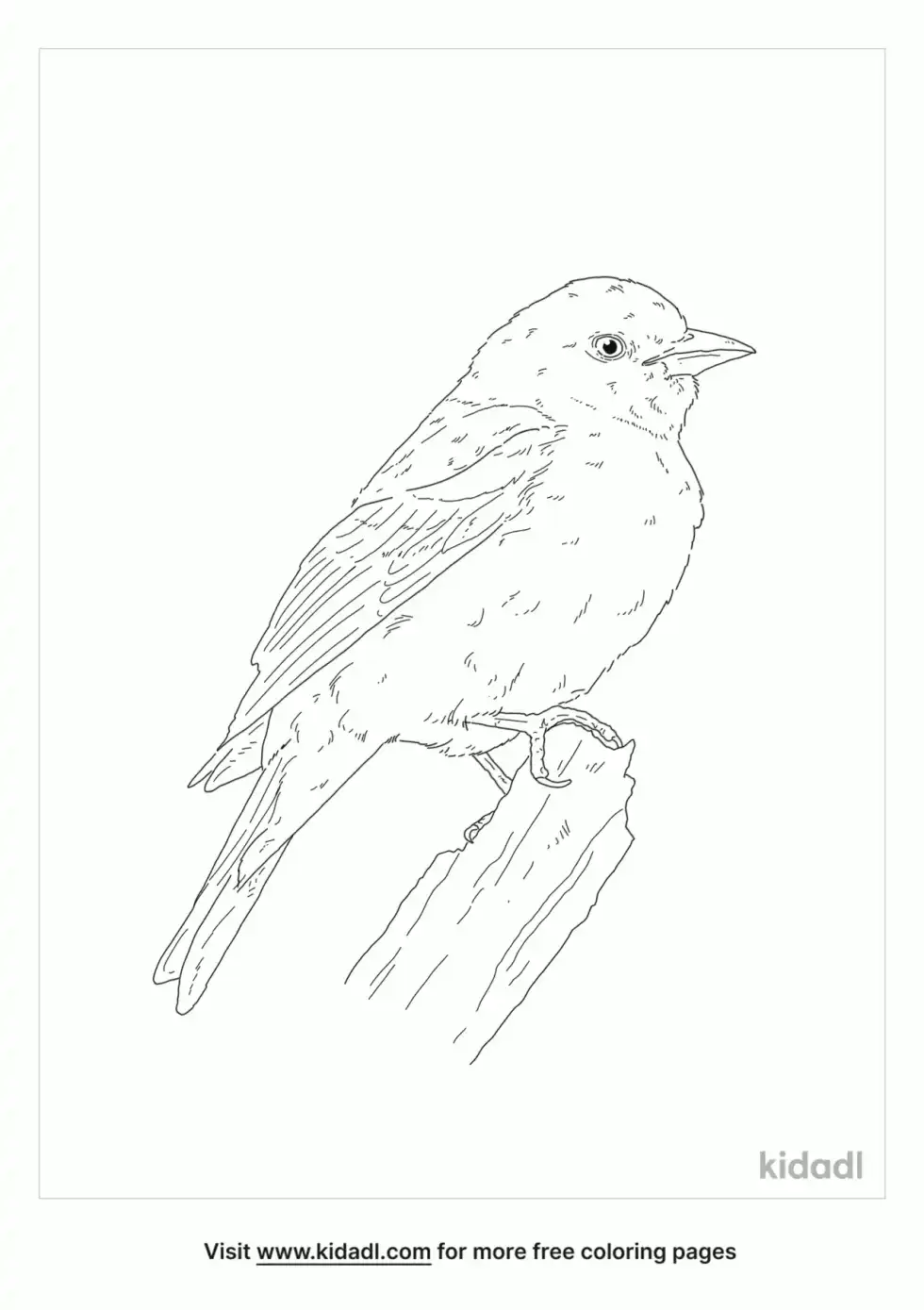 Tanager Coloring Page