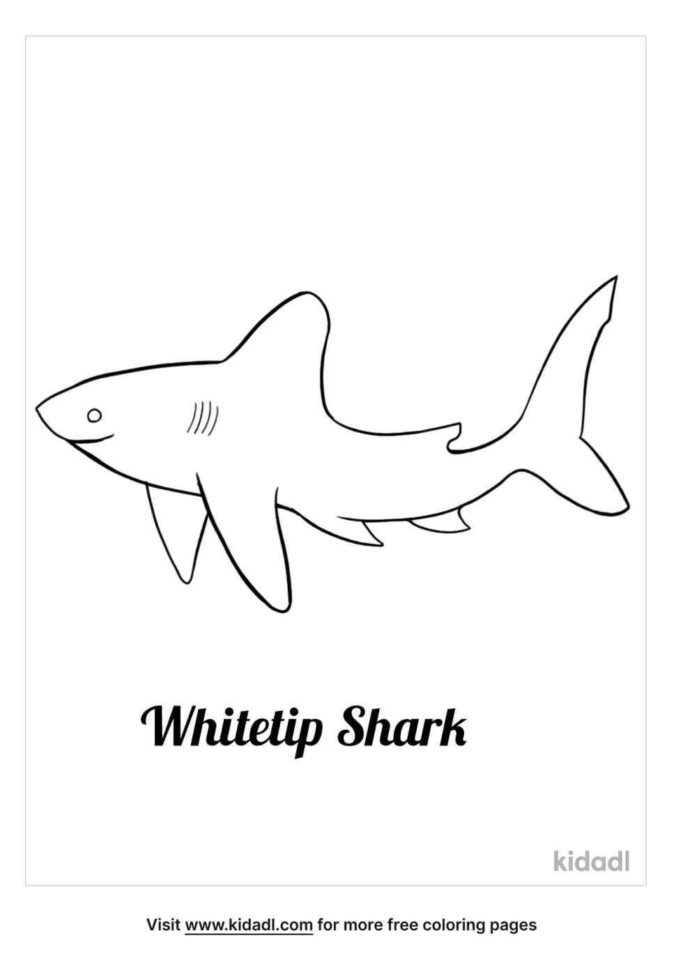 Whitetip Shark Coloring Page