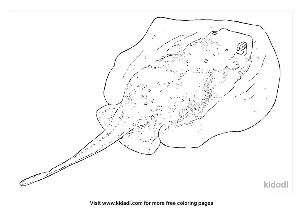 Urobatis Halleri Coloring Page