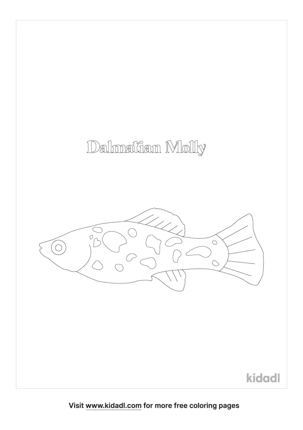 Dalmatian Molly Fish Coloring Page