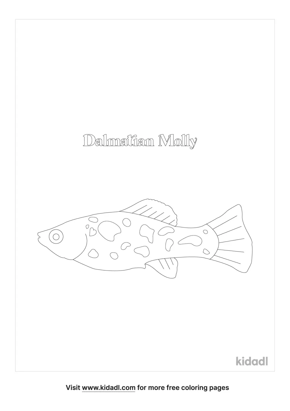 Dalmatian Molly Fish Coloring Page