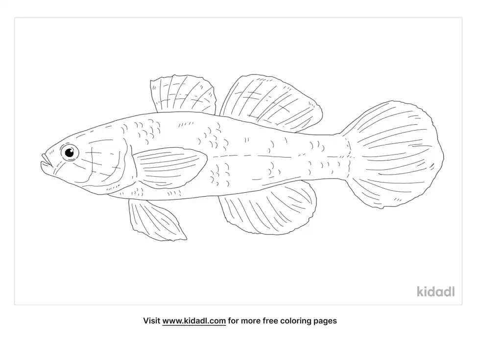 Fat Sleeper Coloring Page