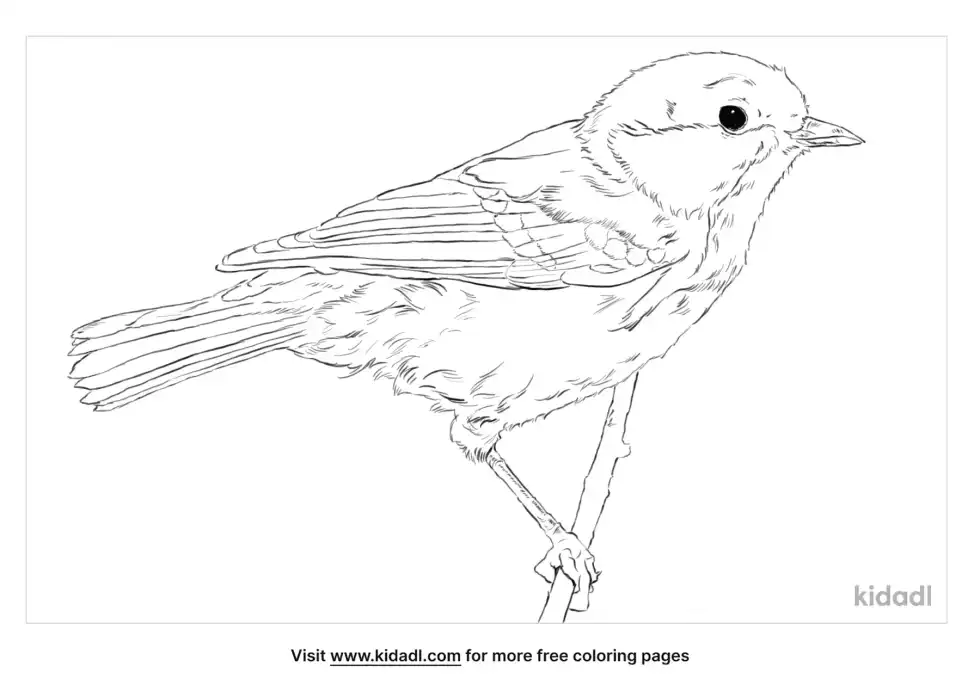 Coal Tit Coloring Page