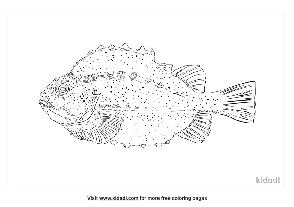 Lumpfish Coloring Page