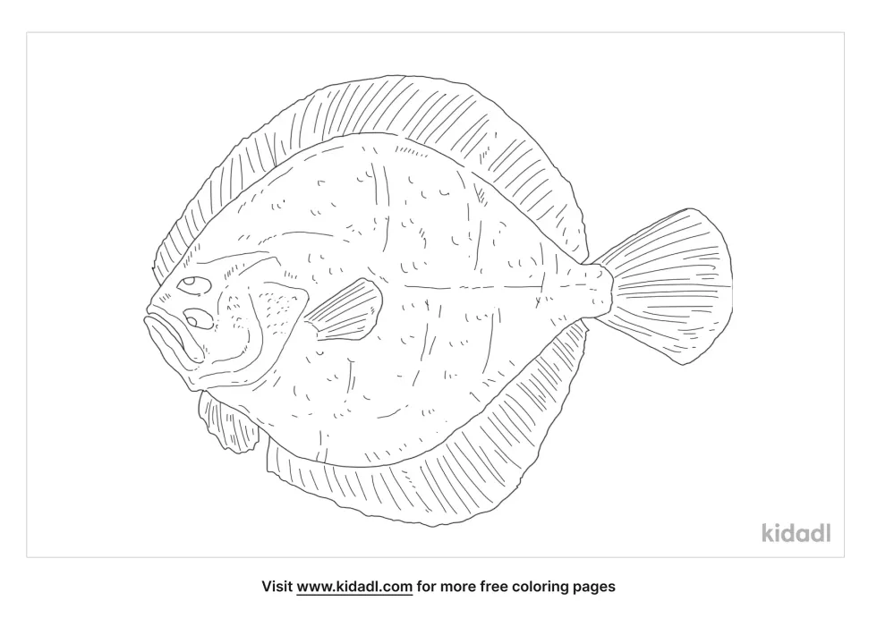 Turbot Coloring Page