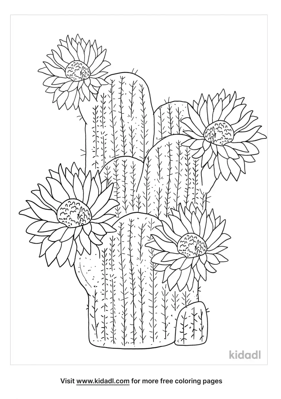 Desert Flower Coloring Page