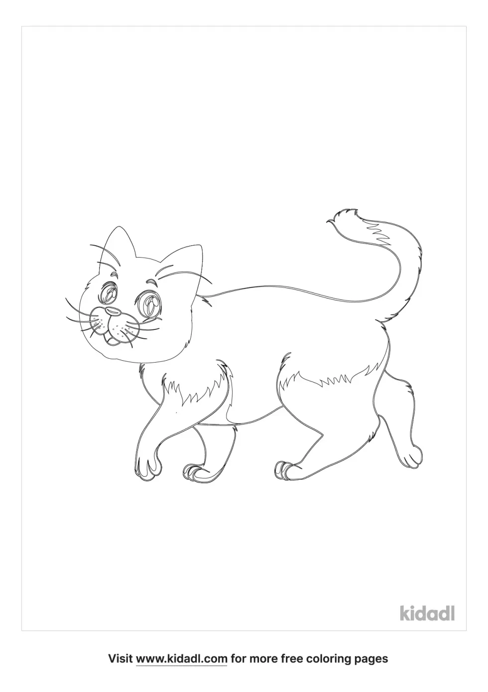 Fluffy Cat Coloring Page