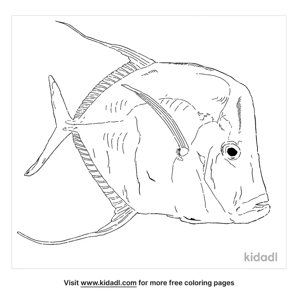 Moon Fish Coloring Page