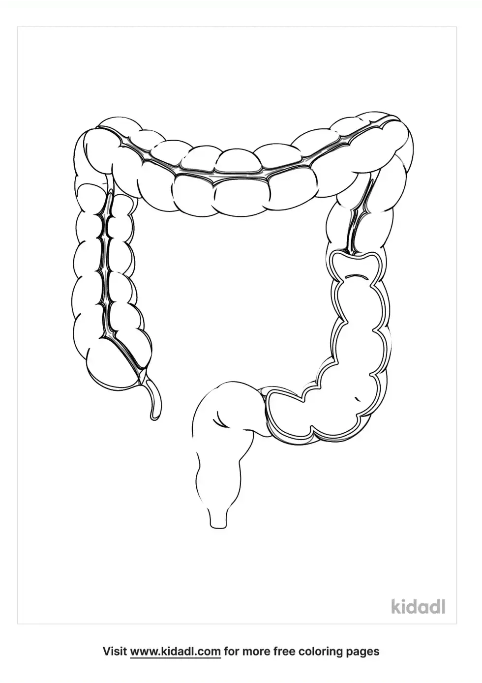 Appendix Coloring Page