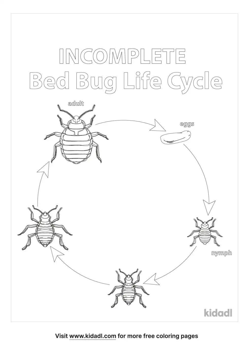 Incomplete Metamorphosis Coloring Page