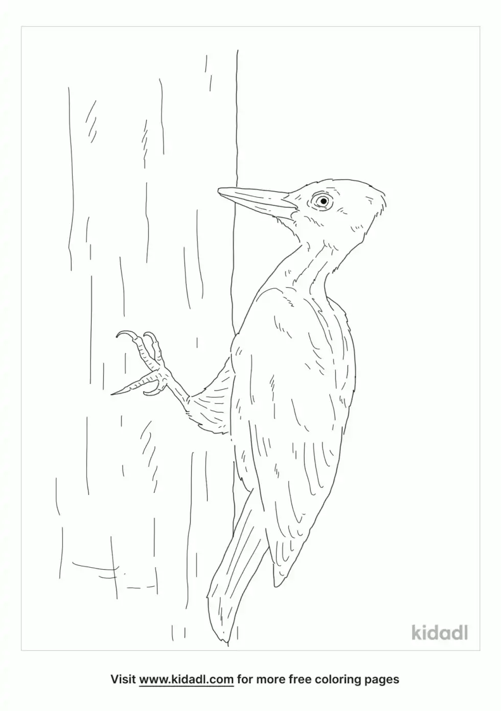 Pale Billed Woodpecker Coloring Page