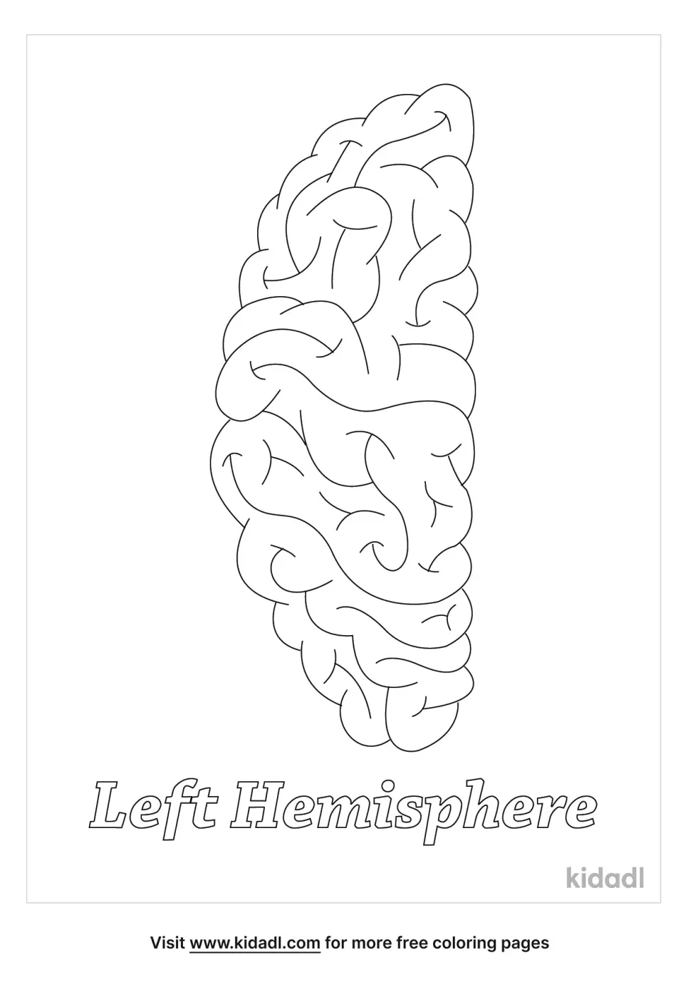 Left Hemisphere