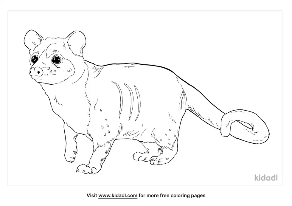 Asian Palm Civet Coloring Page