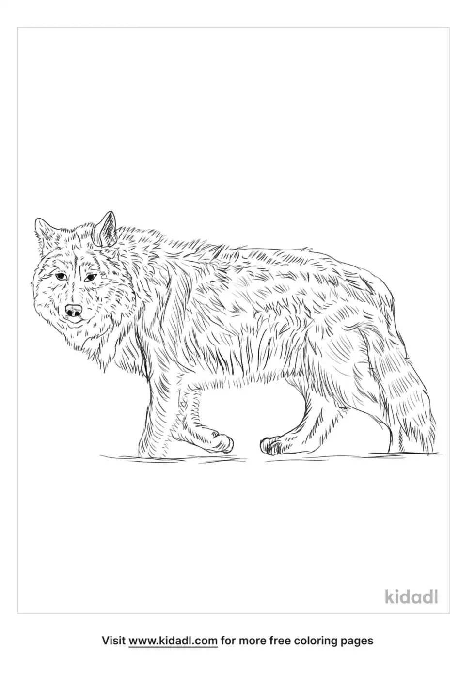 Mexican Wolf Coloring Page