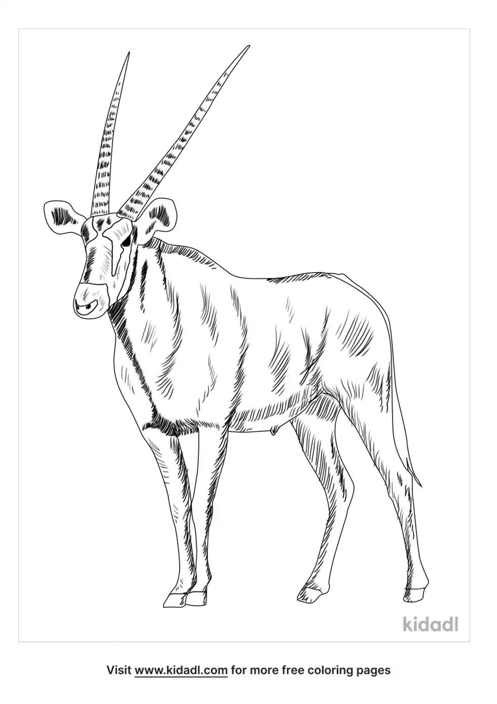 Gemsbok Coloring Page