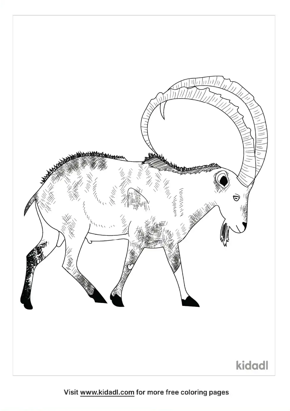Nubian Ibex Coloring Page