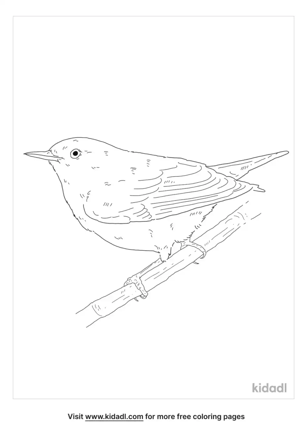Prothonotary Warbler Coloring Page