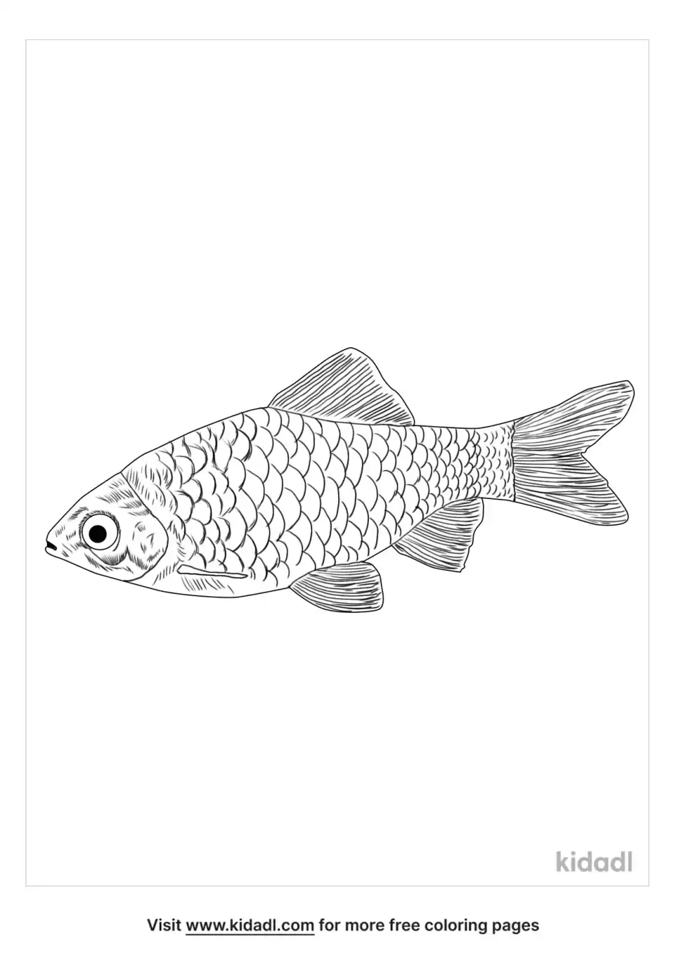 Barb Coloring Page