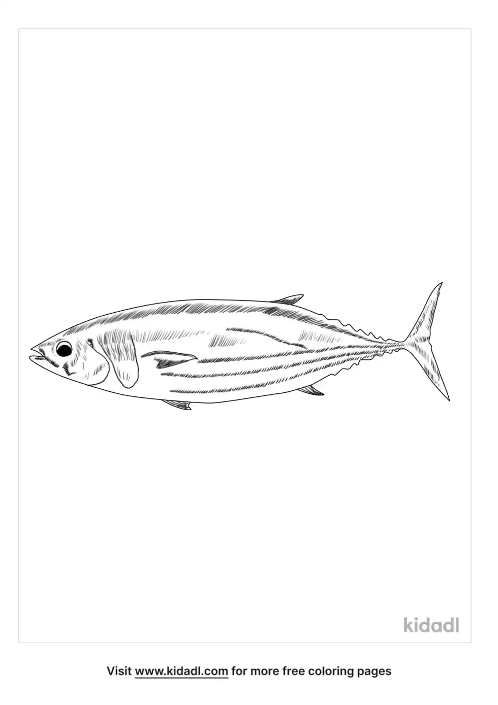 Bonito Fish Coloring Page
