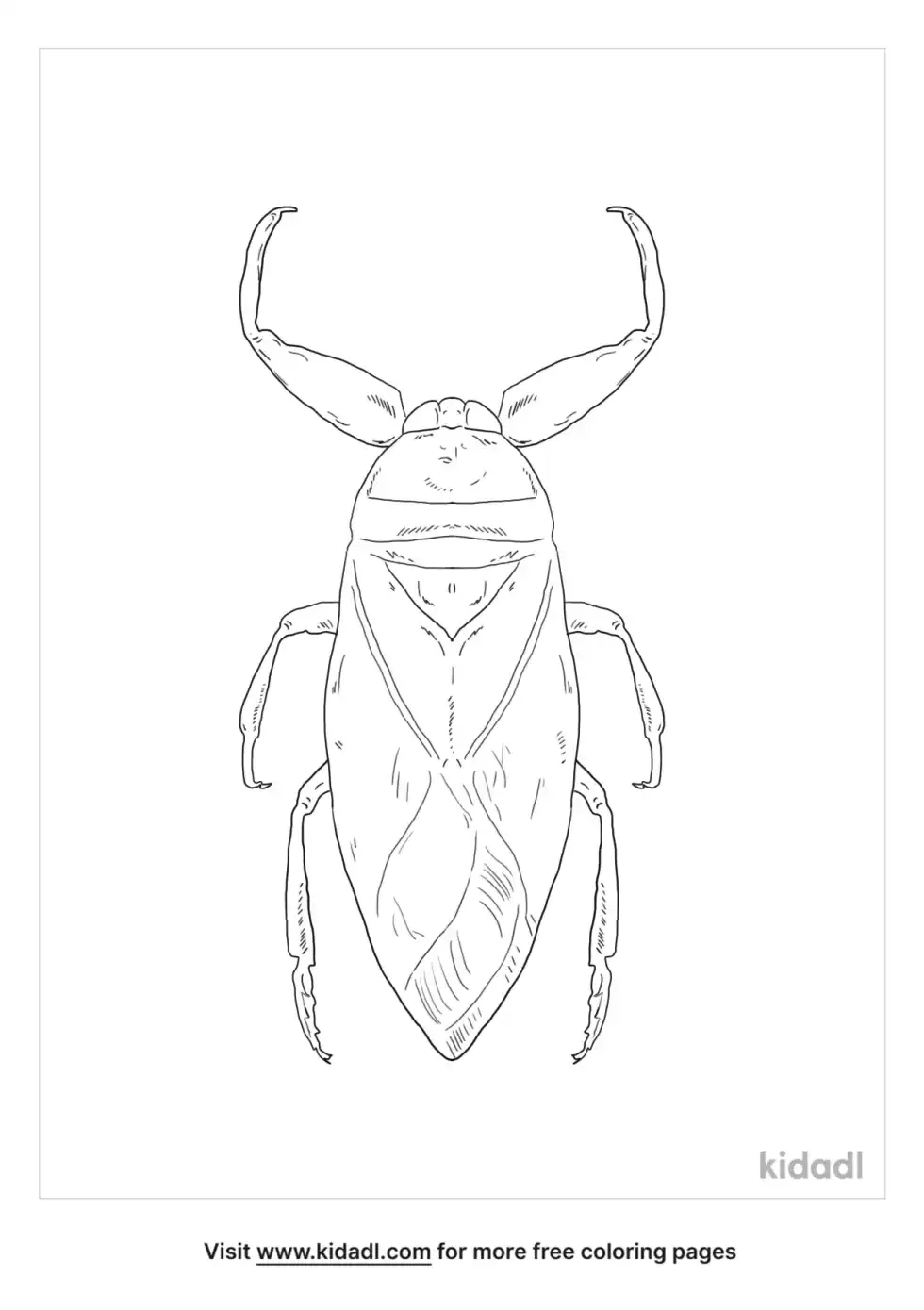 Giant Water Bug Coloring Page
