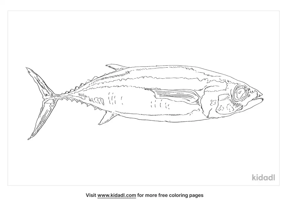 White Tuna Coloring Page