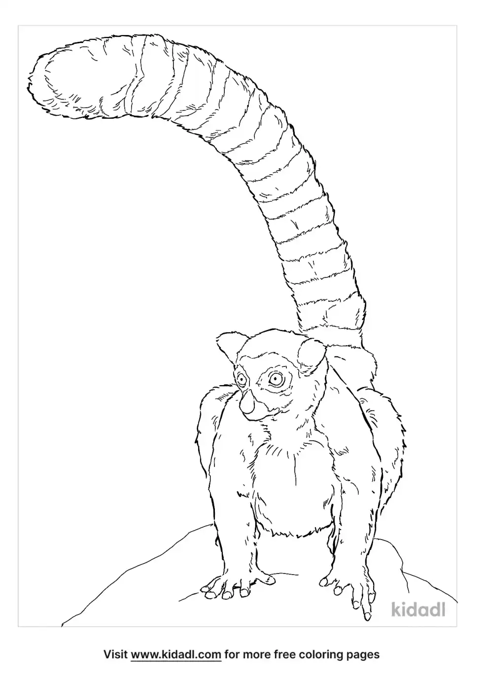 Ring-Tailed Lemur Coloring Page