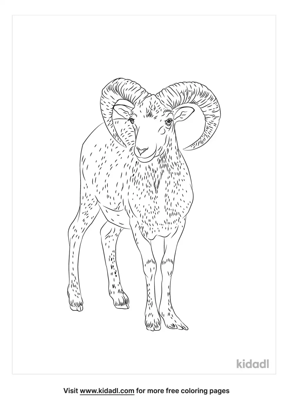 Pyrenean Ibex Coloring Page