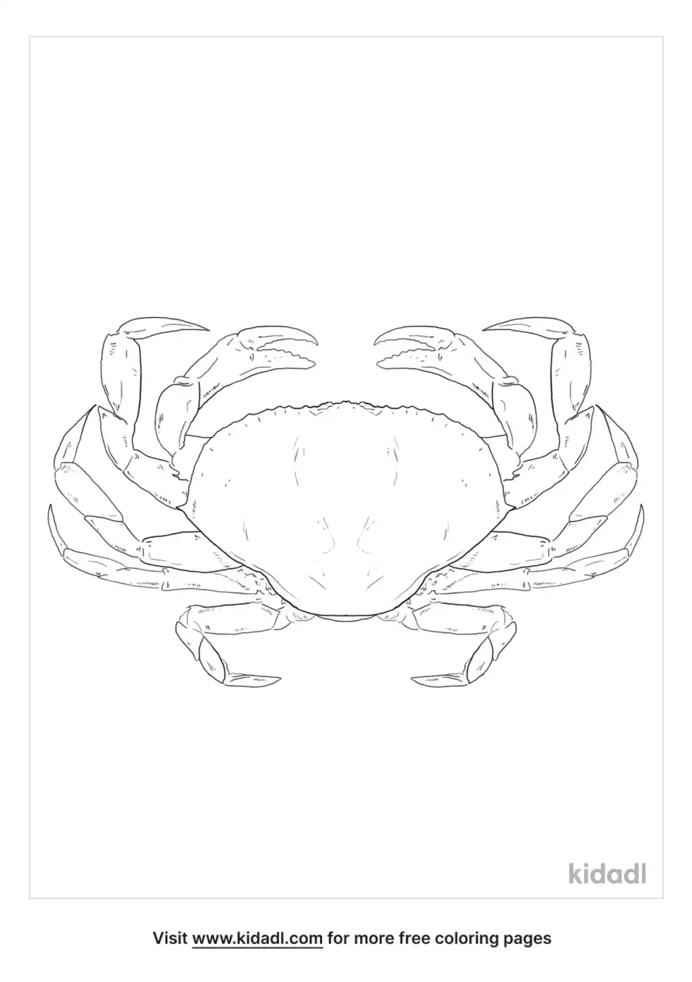 Dungeness Crab Coloring Page