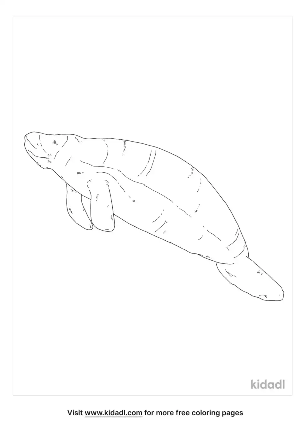 Florida Manatee Coloring Page