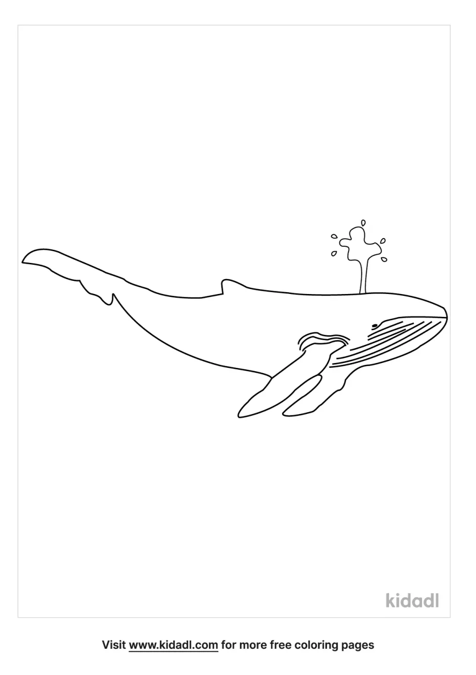 Whale Blowing Water Coloring Page