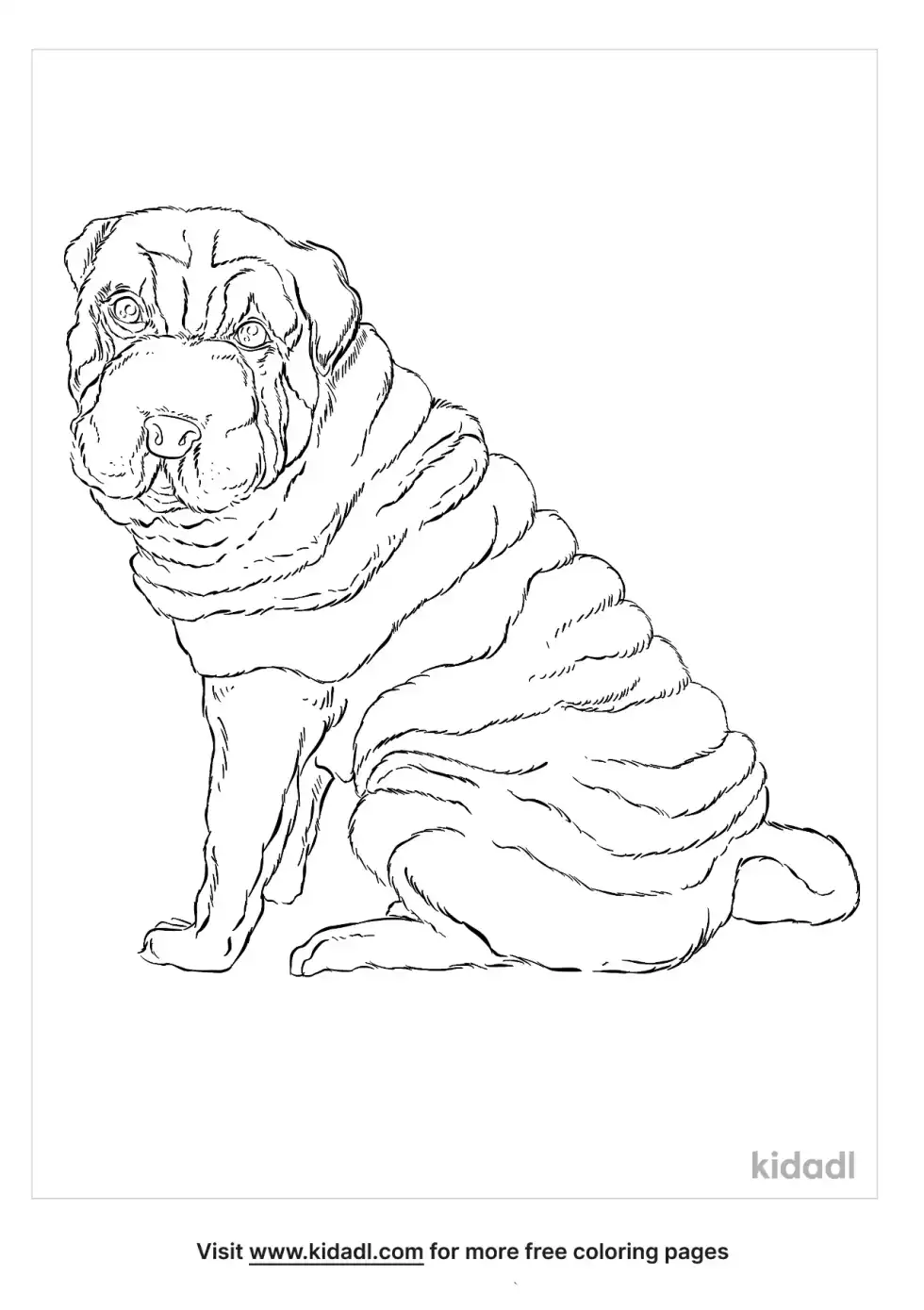 Shar Pei Coloring Page