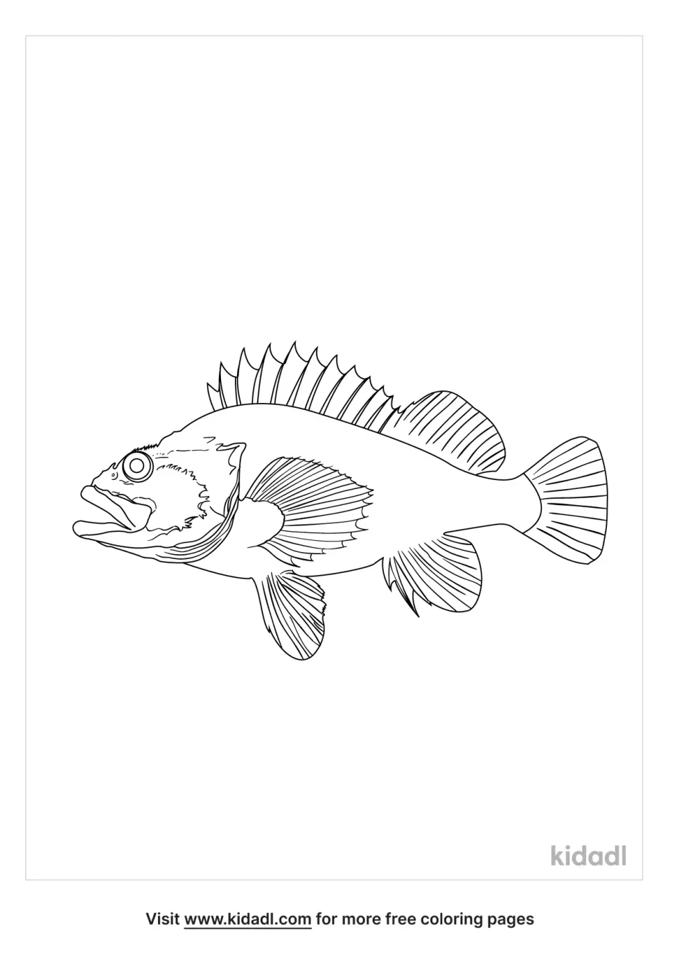 Realistic Rock Fish Coloring Page