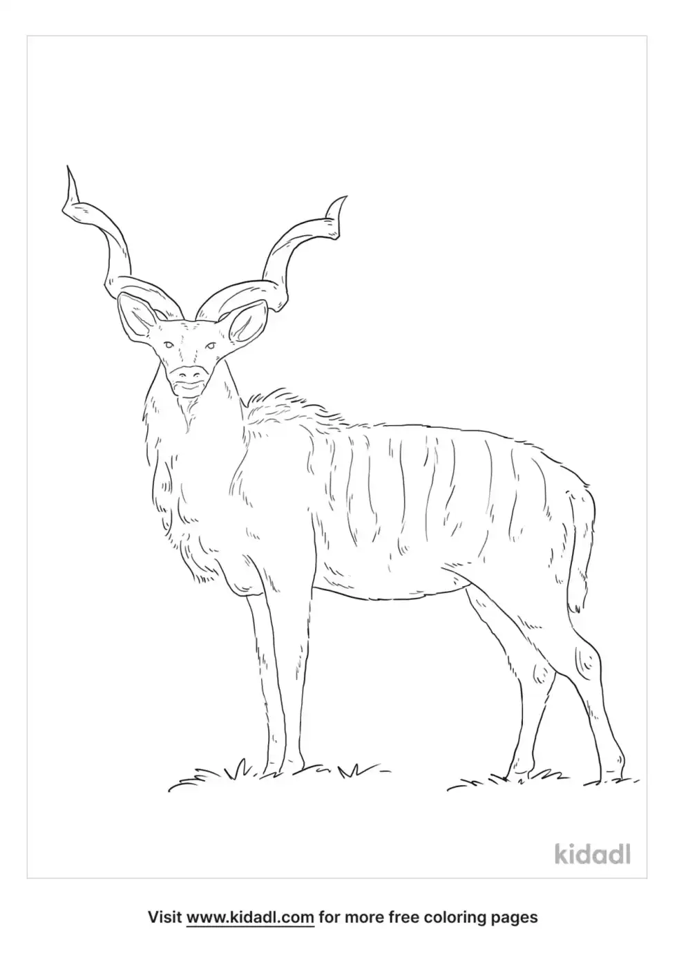 Spiral Horned Antelope Coloring Page