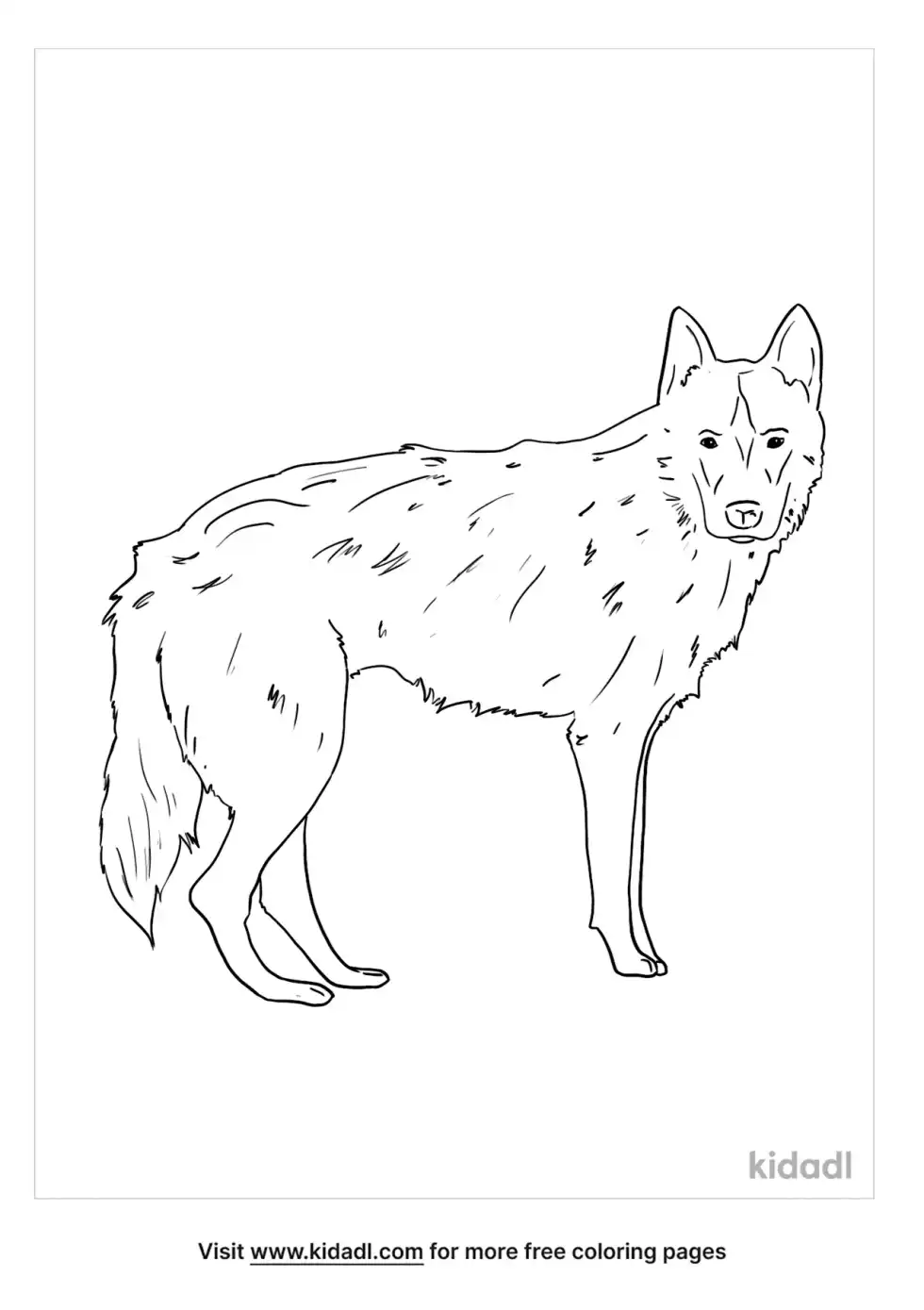 Tamaskan Coloring Page