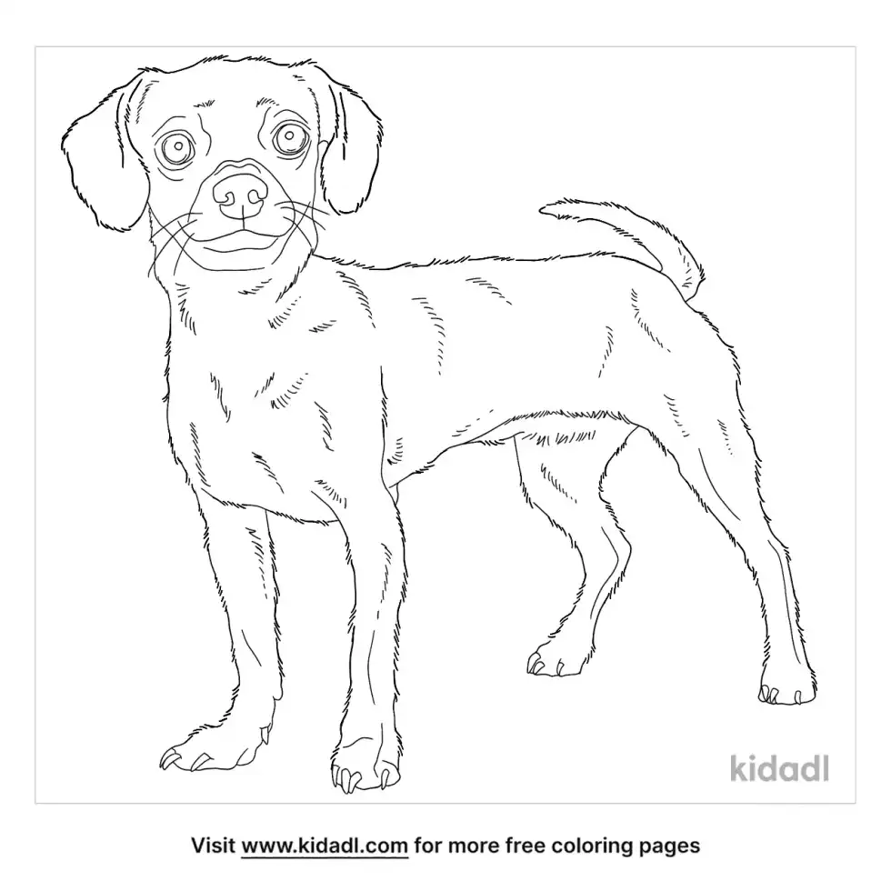 Cheagle Coloring Page
