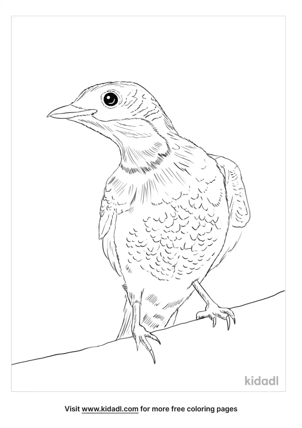 Cotinga Coloring Page