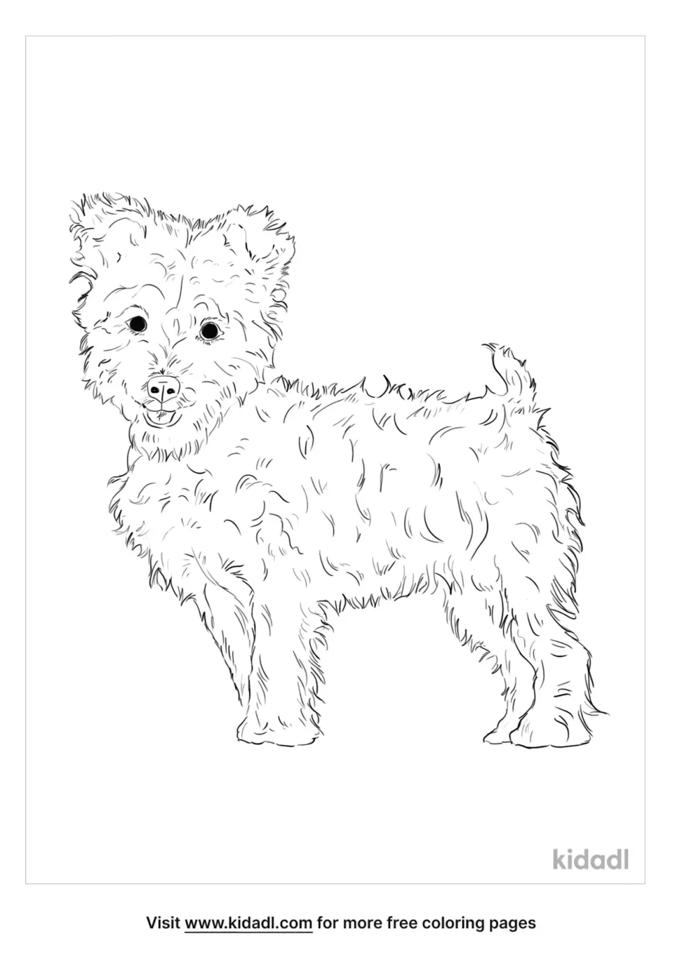 Yorkipoo Coloring Page