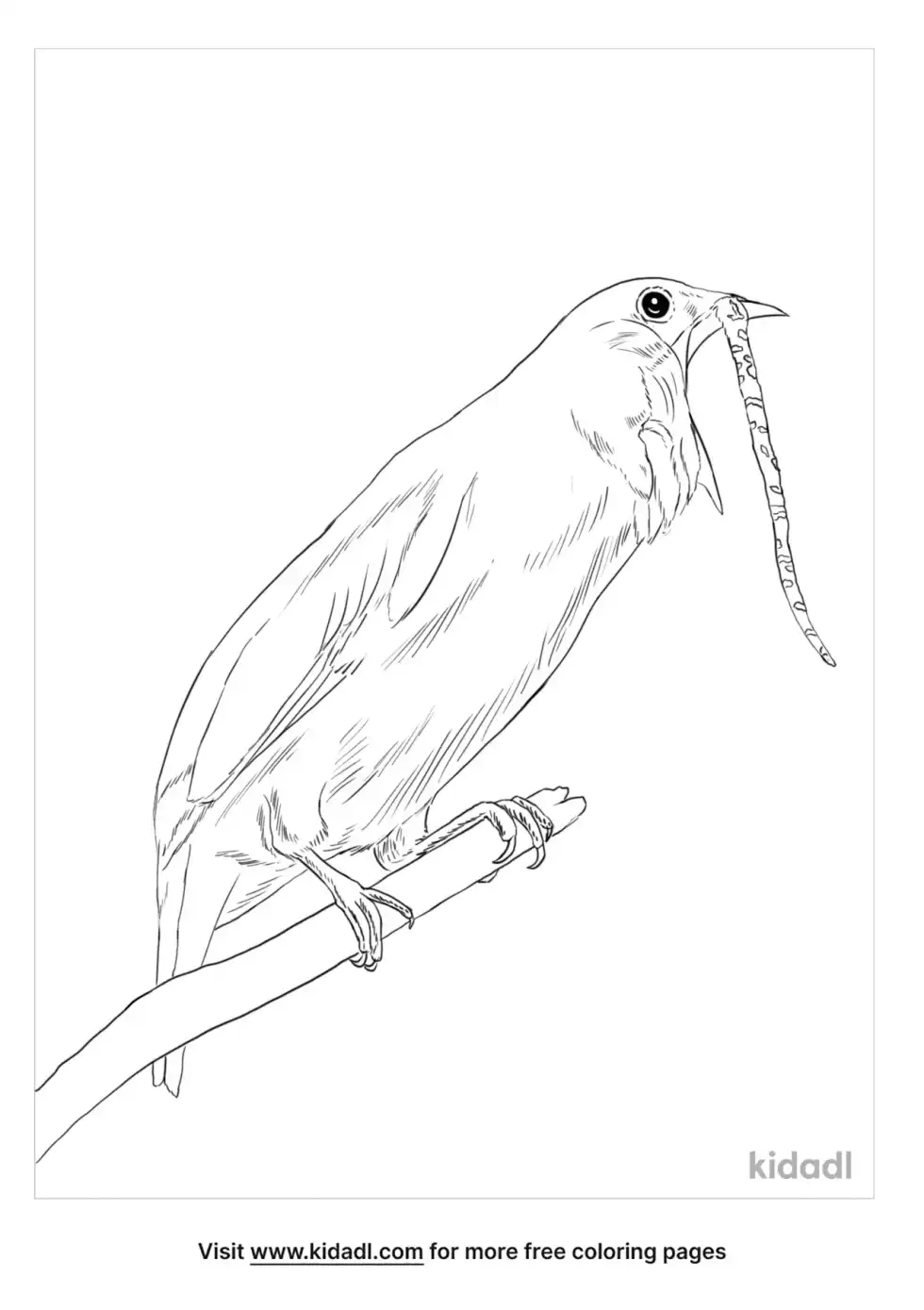 White Bellbird Coloring Page