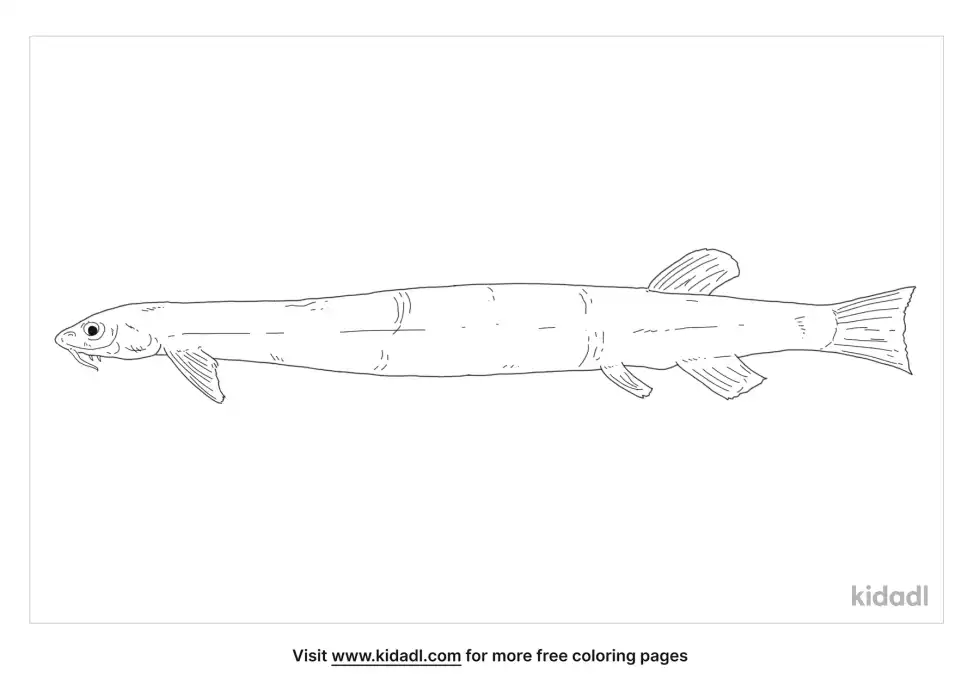 Candiru Coloring Page