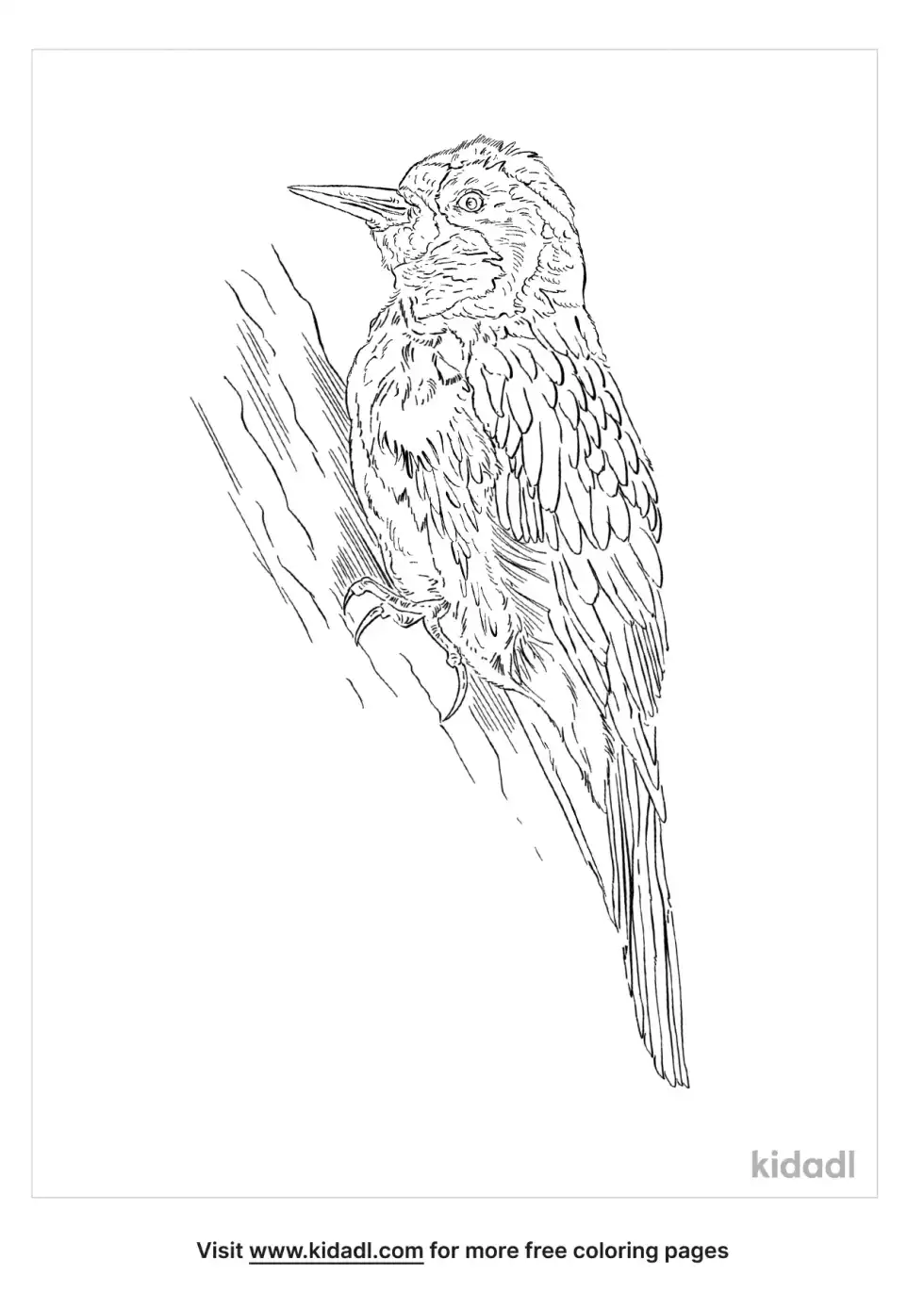 Acorn Woodpecker Coloring Page