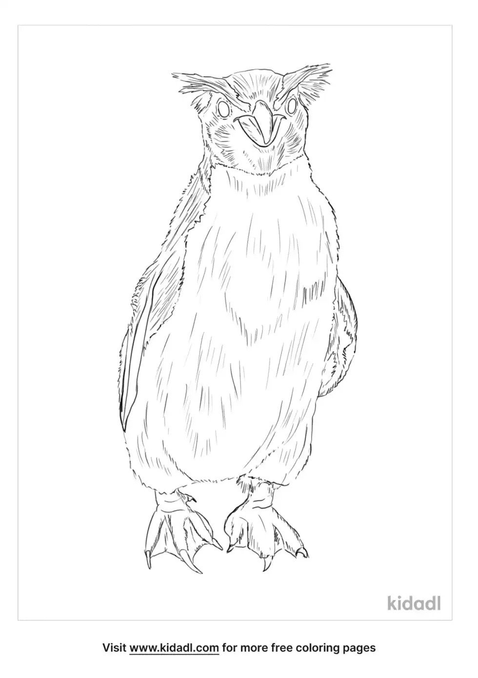 Erect Crested Penguin Coloring Page